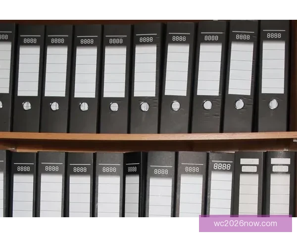 世界杯竞猜入口全面指南助你轻松掌握投注技巧与赛果分析